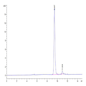 Human HLA-A*11