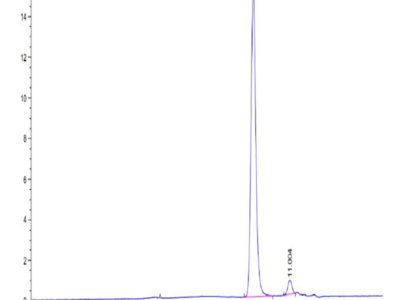 Human HLA-A*11