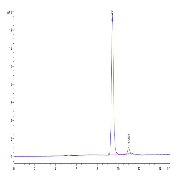 Biotinylated Human HLA-A*11 Biotinylated Human HLA-A*11