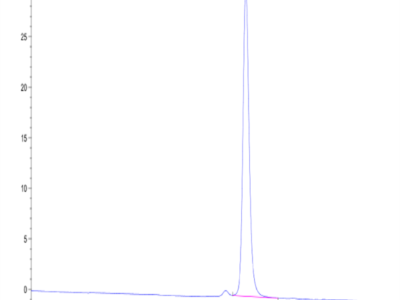 Human Peptide Ready HLA-G&B2M Monomer Protein (MHC-HM45R)