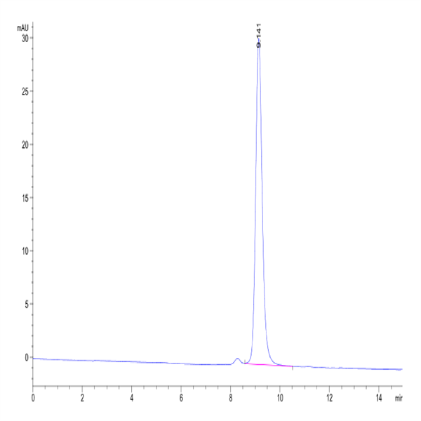 Human Peptide Ready HLA-G&B2M Monomer Protein (MHC-HM45R) Human Peptide Ready HLA-G&B2M Monomer Protein (MHC-HM45R)