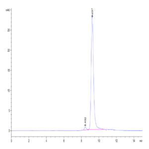 Biotinylated Human Peptide Ready HLA-G&B2M Monomer Protein (MHC-HM45RB)