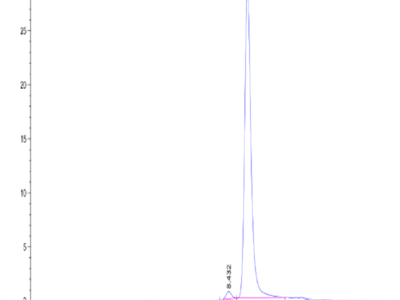 Biotinylated Human Peptide Ready HLA-G&B2M Monomer Protein (MHC-HM45RB)