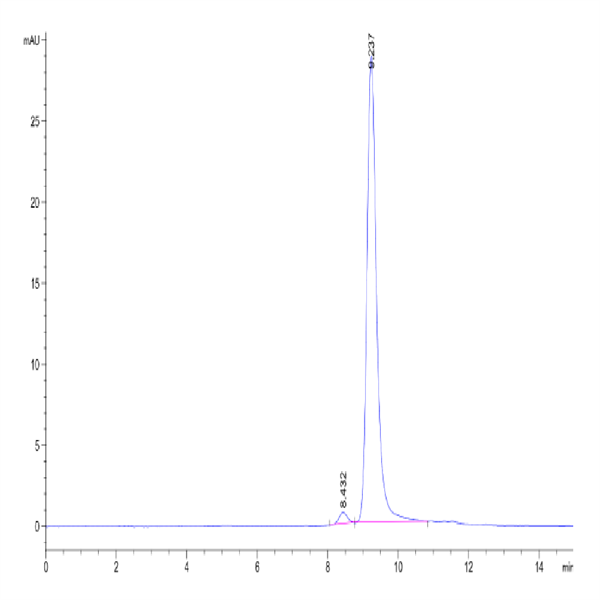 Biotinylated Human Peptide Ready HLA-G&B2M Monomer Protein (MHC-HM45RB) Biotinylated Human Peptide Ready HLA-G&B2M Monomer Protein (MHC-HM45RB)