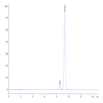 Human Peptide Ready HLA-A*24