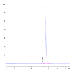 Human Peptide Ready HLA-A*24