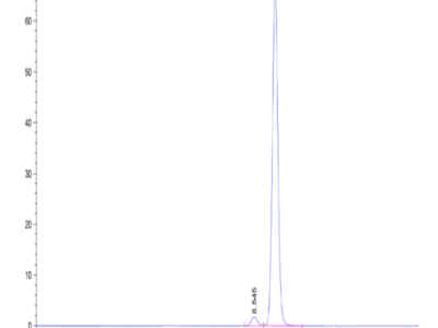 Human Peptide Ready HLA-A*24