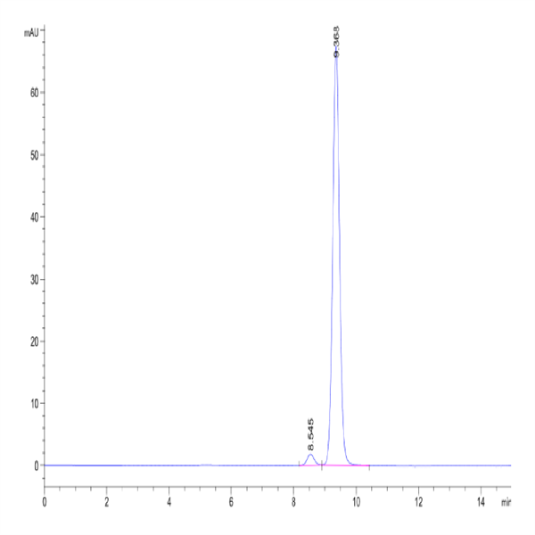 Human Peptide Ready HLA-A*24