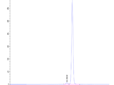 Biotinylated Human Peptide Ready HLA-A*24