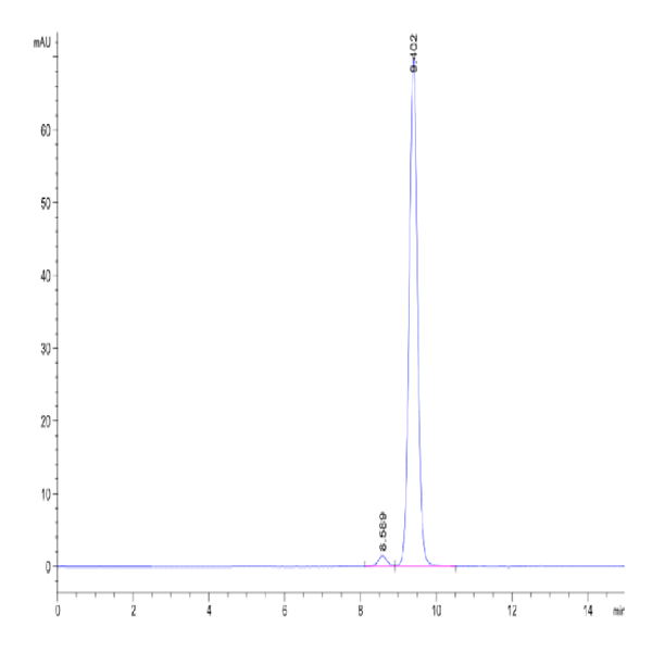 Biotinylated Human Peptide Ready HLA-A*24