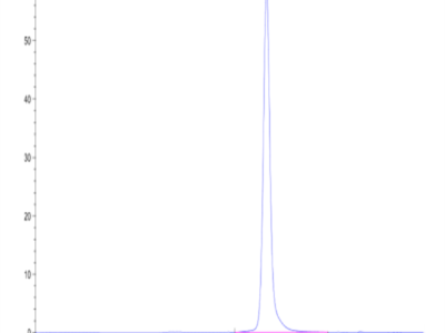 Mouse Qa-1b&B2M&Qdm (AMAPRTLLL) Monomer Protein (MHC-MM452)