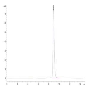 Mouse H-2K (b) &B2M&OVA (SIINFEKL) Monomer Protein (MHC-MM453)