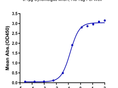 Cynomolgus MICA Protein (MIC-CM10A)