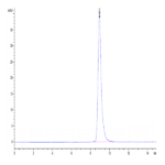 Cynomolgus MICA Protein (MIC-CM10A)