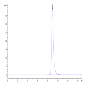 Cynomolgus MICA Protein (MIC-CM10A)