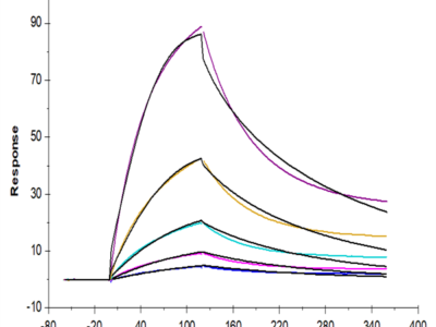 Human MICA Protein (MIC-HM20A)