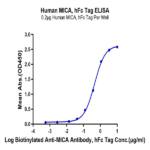 Human MICA Protein (MIC-HM20A)