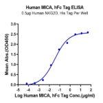 Human MICA Protein (MIC-HM20A)