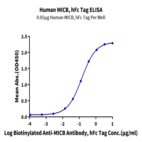 Human MICB Protein (MIC-HM20B)