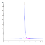 Human MICA alpha 3 Protein (MIC-HM3AD)