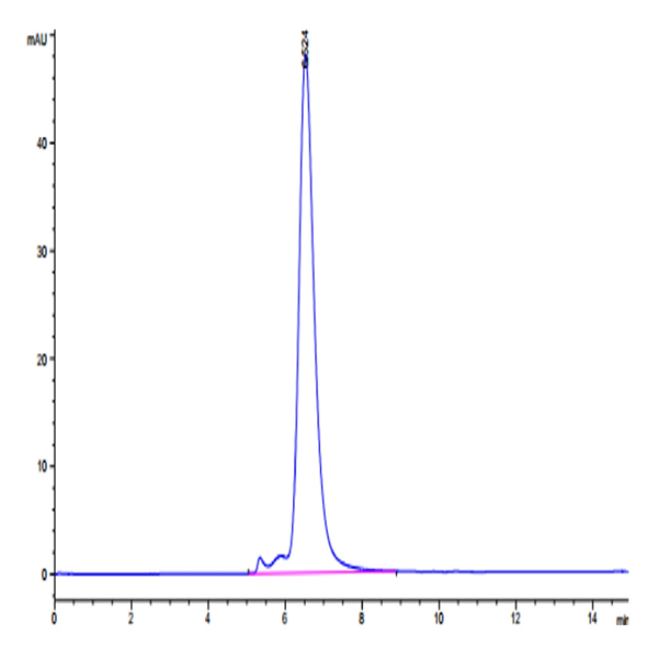 Human MICA Protein (MIC-HM40A)