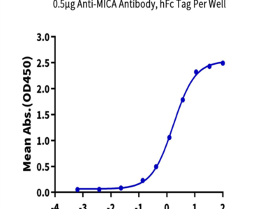 Biotinylated Human MICA Protein (MIC-HM40AB)