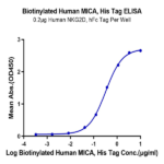 Biotinylated Human MICA Protein (MIC-HM40AB)