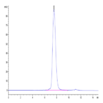 Human MICB Protein (MIC-HM40B)