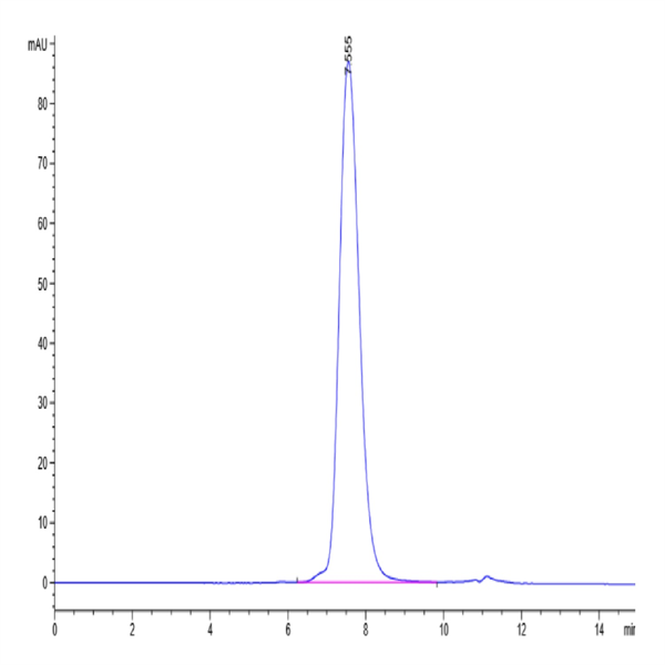 Human MICB Protein (MIC-HM40B)