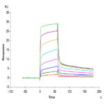 Biotinylated Human MICB Protein (MIC-HM40BB)