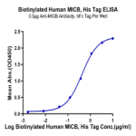 Biotinylated Human MICB Protein (MIC-HM40BB)