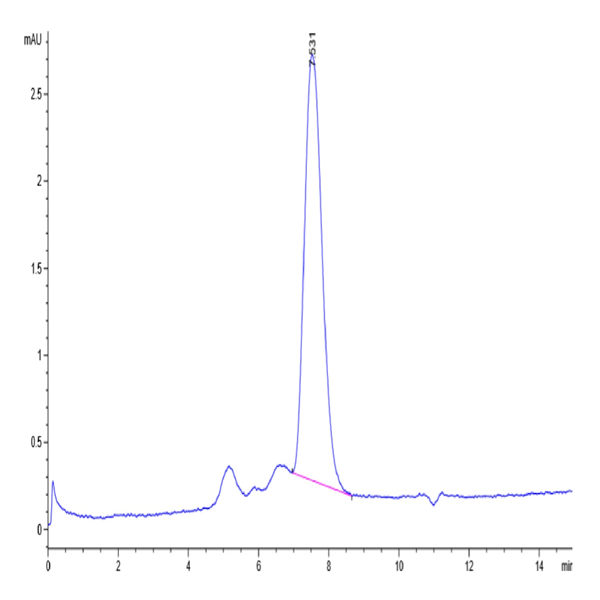 Biotinylated Human MICB Protein (MIC-HM40BB)