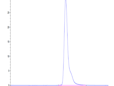 Cynomolgus CD10/MME Protein (MME-CM110)