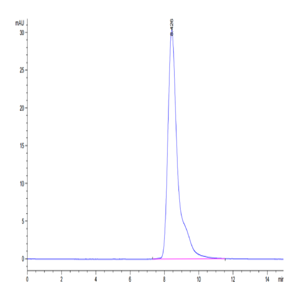 Cynomolgus CD10/MME Protein (MME-CM110)