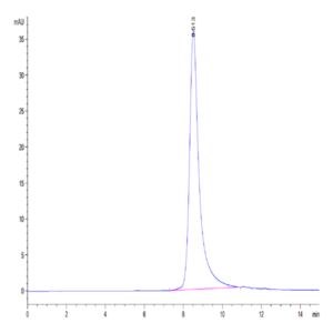 Human CD10/MME Protein (MME-HM110)