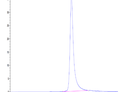 Human CD10/MME Protein (MME-HM110)