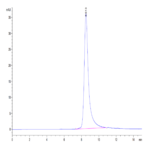 Human CD10/MME Protein (MME-HM110)