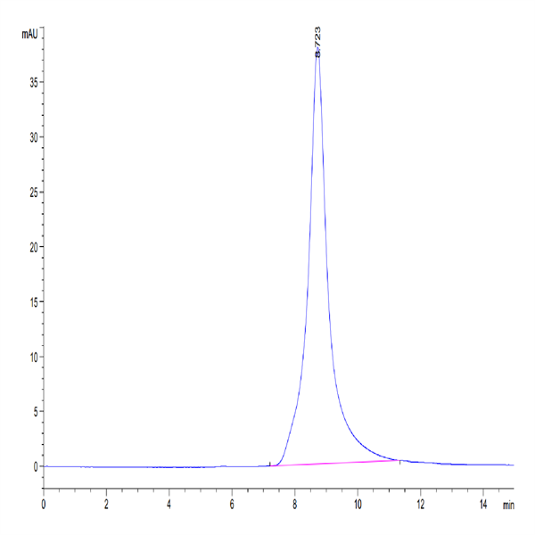 Mouse CD10/MME Protein (MME-MM110)