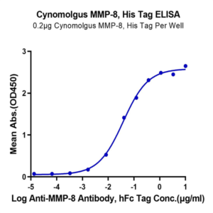 Cynomolgus MMP-8 Protein (MMP-CM108)