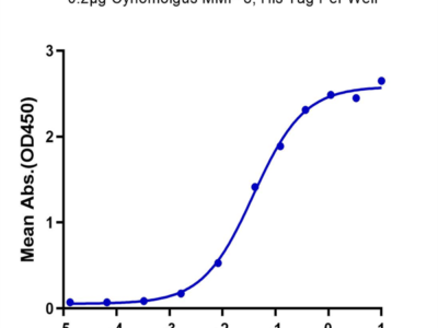 Cynomolgus MMP-8 Protein (MMP-CM108)