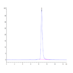 Cynomolgus MMP-8 Protein (MMP-CM108)