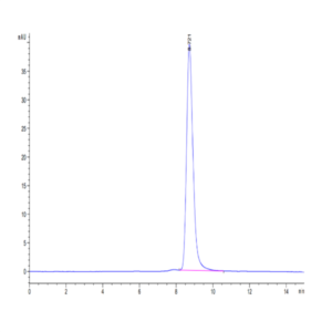 Cynomolgus MMP-8 Protein (MMP-CM108)