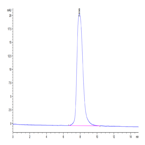 Cynomolgus MMP-9 Protein (MMP-CM109)