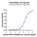 Human MMP-8 Protein (MMP-HM108)