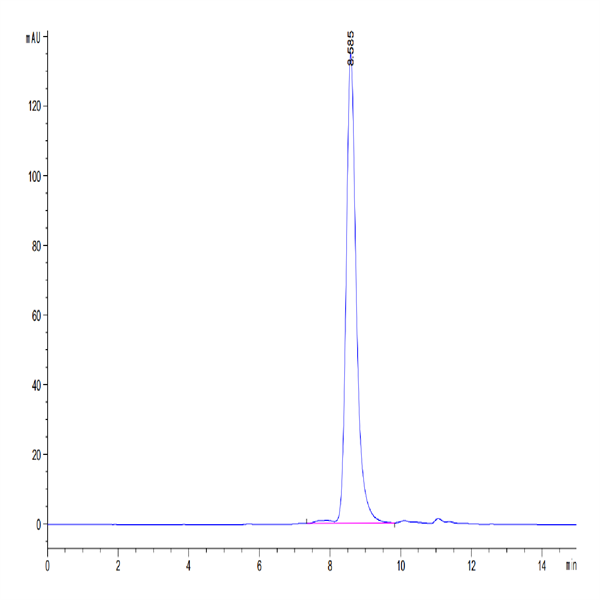 Human MMP-8 Protein (MMP-HM108)