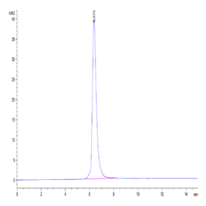 Human MMP-9 Protein (MMP-HM409)