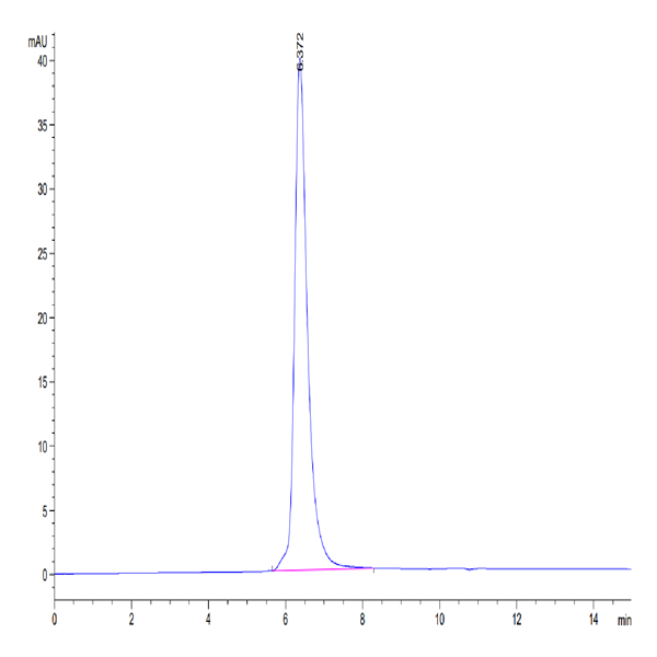 Human MMP-9 Protein (MMP-HM409)