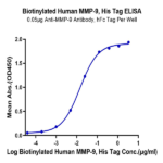 Biotinylated Human MMP-9 Protein (MMP-HM409B)