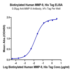 Biotinylated Human MMP-9 Protein (MMP-HM409B)