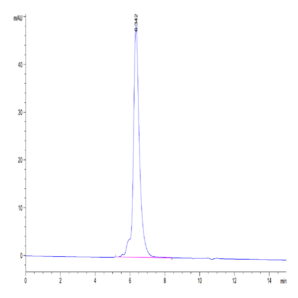 Biotinylated Human MMP-9 Protein (MMP-HM409B)